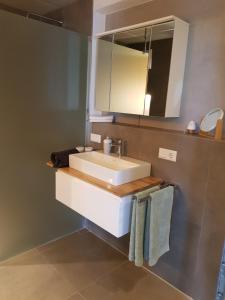 a bathroom with a white sink and a mirror at Ferienwohnung Frieda in Frickingen