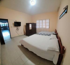 a bedroom with a large bed and a television at EL ESTABLO - Casa de Campo Vacacional con pileta privada - Jujuy in San Salvador de Jujuy