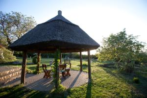 Galeriebild der Unterkunft Dióliget - Diófácska Présház in Lovasberény