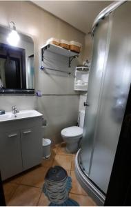 ein Bad mit einer Dusche, einem WC und einem Waschbecken in der Unterkunft Lovely Apartment in CABO, RIVIERA BEACH in Cabo Negro