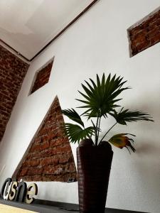 a plant in a vase in a room at La Residenza Isabella in Milan