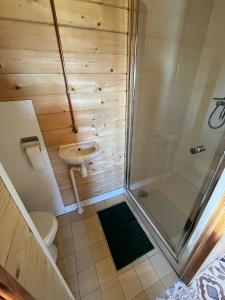 een badkamer met een douche, een toilet en een wastafel bij De Diepen in Milsbeek