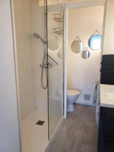 een badkamer met een douche en een toilet bij Bel appartement proche mer avec terrasse in Roscoff