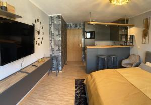 TV a/nebo společenská místnost v ubytování Apartment Studio Green line