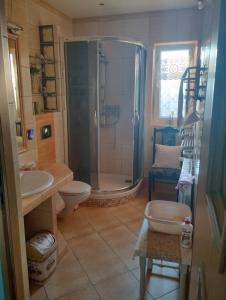 uma casa de banho com um chuveiro, um WC e um lavatório. em Nowa Jutrzenka em Stryszawa