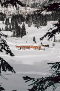 a building in a snow covered field with trees at Hasenalm in Schliersee