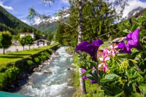 a river with purple flowers in the foreground at Dormio Resort Les Portes du Mont Blanc in Vallorcine