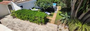 an overhead view of a garden with trees and stairs at Voscenza Benerica in Vittoria