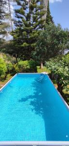 a blue swimming pool with a chair next to trees at Voscenza Benerica in Vittoria