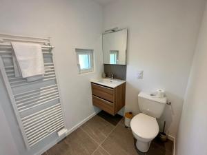 a bathroom with a toilet and a sink and a mirror at Tiny House moderne et son jardin privé - 5mn Roanne 