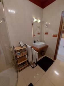 W łazience znajduje się umywalka, toaleta i lustro. w obiekcie Apartmán - Tatragolf Veľká Lomnica w Wielkiej Łomnicy