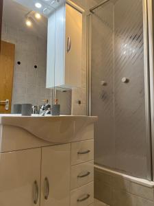 a bathroom with a sink and a shower at Apartment Studio Green line in Bannewitz