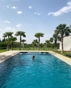 a man swimming in a swimming pool with palm trees at Les portes de l'atlas in Fez