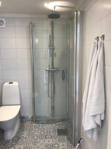 a bathroom with a shower and a toilet at Cozy cottage by the sea south of Varberg in TrÃ¤slÃ¶vslÃ¤ge