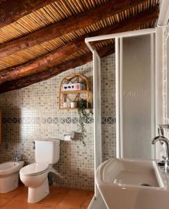 a bathroom with a toilet and a tub and a sink at Casa rural La Boticaria in Villar del Arzobispo