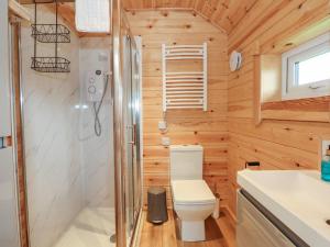 a small bathroom with a toilet and a shower at Dragonfly Retreat in Pentney +14 photos