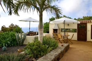 プンタゴルダにあるCasa Demetria La Palmaのヤシの木とテーブルと傘が備わるパティオ