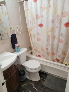 a bathroom with a toilet and a shower curtain at 1st floor Private Apt near Ferry to NYC and Park in Tompkinsville