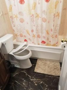 a bathroom with a toilet and a shower curtain at 1st floor Private Apt near Ferry to NYC and Park in Tompkinsville