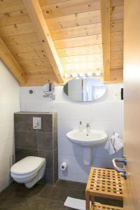 a bathroom with a toilet and a sink at Ame de la Terre in Ruffey-lès-Échirey