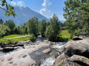 a river with trees and a mountain in the background at Gamlehuset 