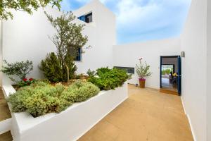 Zahrada ubytování Hidesign Athens Villa In Sounio