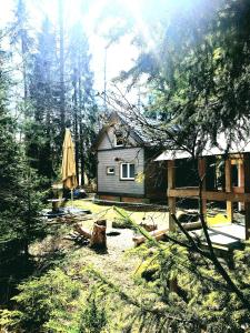 ein kleines Haus im Wald mit Sonnenschirm in der Unterkunft Chata pod zubačkou in Tatranska Strba