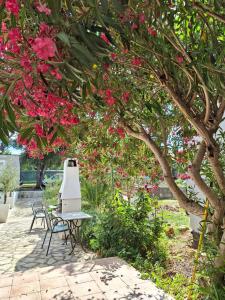 een tafel en stoelen onder een boom met roze bloemen bij Casa Blanca, Biograd na Moru in Biograd na Moru