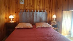 ein Bett mit zwei Kissen und zwei Lampen in einem Zimmer in der Unterkunft Le moulin neuf - l'aubepine in Chalandray