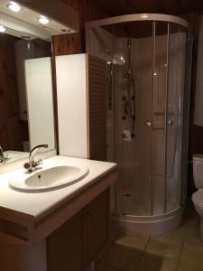 a bathroom with a sink and a shower at Le moulin neuf - l'aubepine in Chalandray