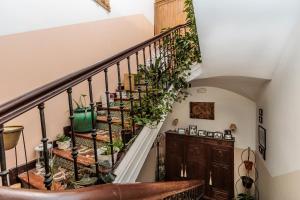 a stairway with potted plants on the stairs at Los Balcones del Camino in Sahagún