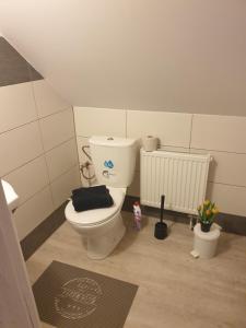 a bathroom with a toilet with a black pillow on it at Chata pod zubačkou in Tatranska Strba