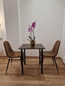 Fotografie z fotogalerie ubytování Cuma Suites v Římě