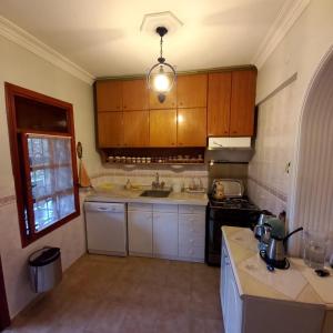 a kitchen with wooden cabinets and a light fixture at Family Holiday House in Aydın