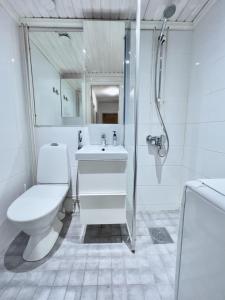 y baño con aseo, lavabo y ducha. en Fabulous Central Apartment Helsinki, en Helsinki