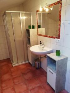 La salle de bains est pourvue d'un lavabo et d'une douche. dans l'établissement Appartement Grössing, à Gröbming