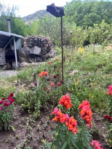 a garden with red flowers and an umbrella at Hotel Halidzor in Halidzor