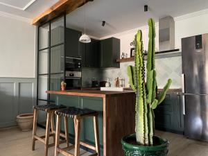 a kitchen with green cabinets and a cactus at Chimera Apartments & Suites in Marrakech