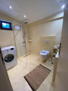 a bathroom with a washing machine and a toilet at Dream house Villa in Alyki