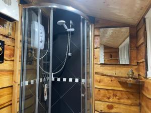 Koupelna v ubytování Cuckoo Cabin, Tyn Y Cwm