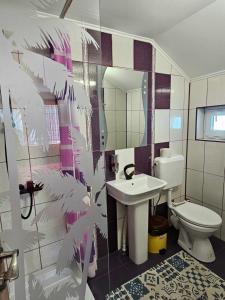 La salle de bains est pourvue de toilettes et d'un lavabo. dans l'établissement Casa Laur, à Sulina