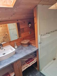 y baño con lavabo, espejo y ducha. en Chalet familial - Pyrénées, au cœur des 3 stations, en La Cabanasse