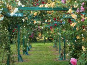 a garden with roses and signs in the grass at La Suite Venise au Château de Saint-André in Mareuil-sur-Lay