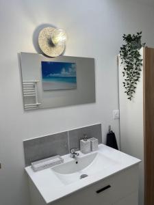 bagno con lavandino bianco e specchio di Appartement T2 La Ferté Gaucher à 200m du centre a La Ferté-Gaucher