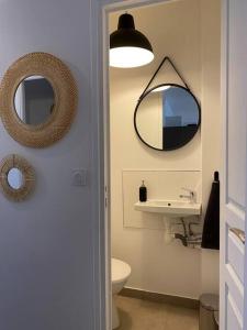 a bathroom with a sink and a mirror at Appartement T2 La Ferté Gaucher à 200m du centre in La Ferté-Gaucher