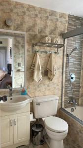 uma casa de banho com um WC, um lavatório e um chuveiro em 07- Acogedor departamento Familiar em Santa Cruz de la Sierra