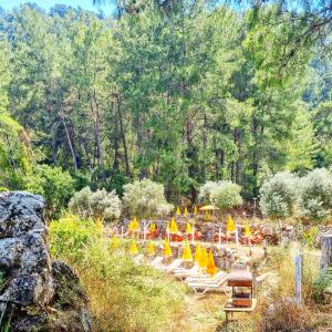 a group of lounge chairs with umbrellas in a garden at Köyceğiz Sultaniye Camping in Mugla