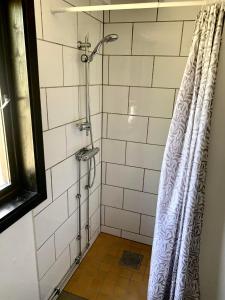a shower with a shower curtain in a bathroom at Haga betong in Enånger