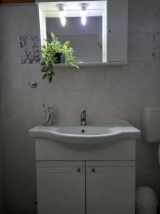 baño con lavabo, espejo y planta en Paralia Apartments, en Paralia Katerinis