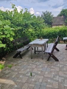 una mesa de picnic y dos bancos en un patio en Berger Pince-vendégház, Hajósi pincék en Hajósi Pincék